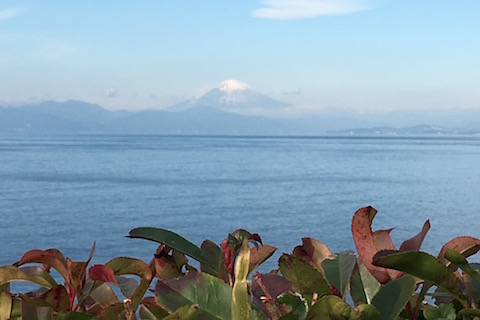 「京急油壺マリンパーク」から見える富士山