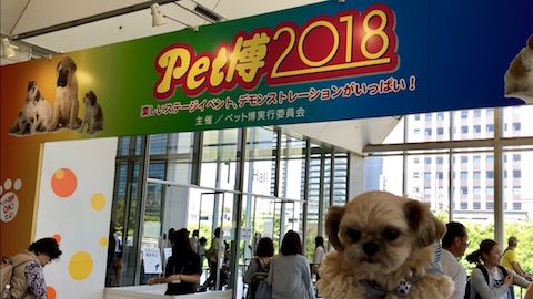 幕張で開催された「ペット博2018」に行きました