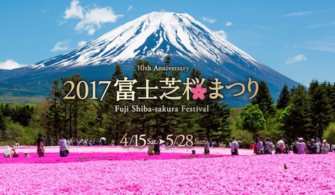富士山と80万株の芝桜を堪能できる「2017富士芝桜まつり」は4月15日から5月28日まで開催