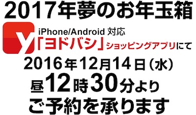ヨドバシカメラは「2017年 夢のお年玉箱」を12月14日12時30分より数量限定で予約販売を開始