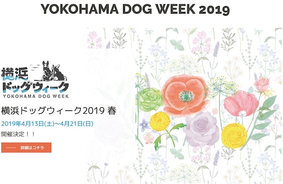 横浜ベイエリアを舞台にしたドッグイベント「横浜ドッグウィーク2019」にてMarine Dog Partyを開催
